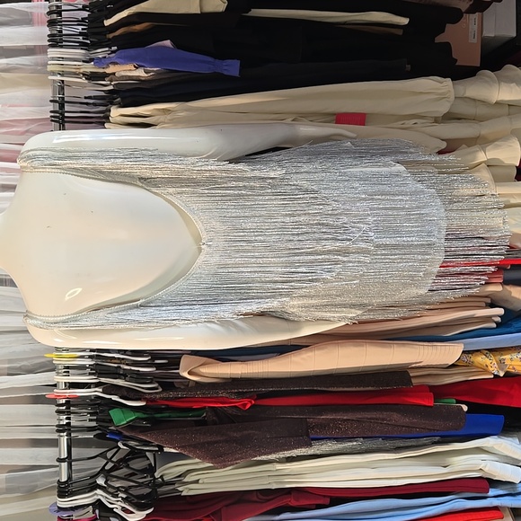 Silver Fringe Dress - Picture 6 of 6